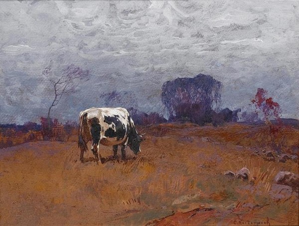 A cow grazing