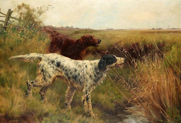 An English setter and an Irish setter in a landscape