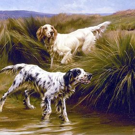 БЛИНКС Томас