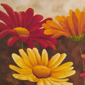 ЛЮФАРЕЛЛИ Мария Грация