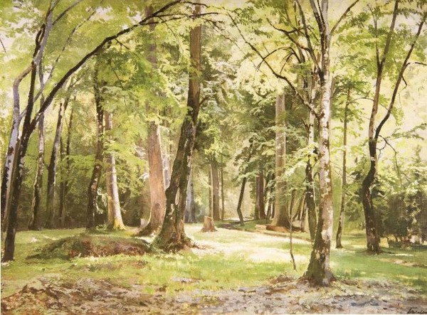 Беловежская пуща.1892.