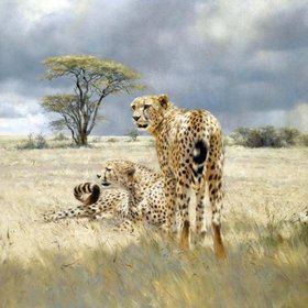 ГРАНТ Дональд