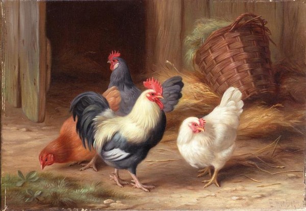 Chickens outside a barn