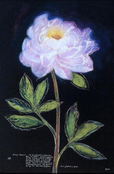 Декоративный цветок черный фон голубой цветок