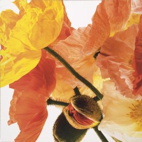 ВАЙНШТАЙН Ричард