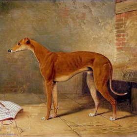 ХЕПЛЬ Вилсон