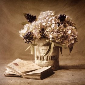 АТРИЯ Кристин