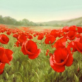 ЛЕВАШОВ Игорь