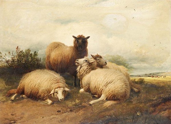 Four sheep in a landscape