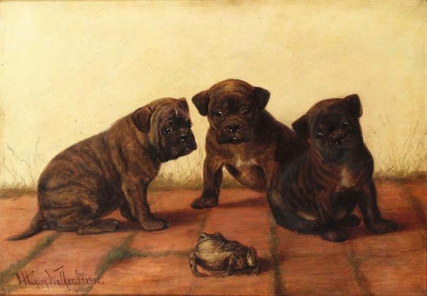 Главная из них Лягушка