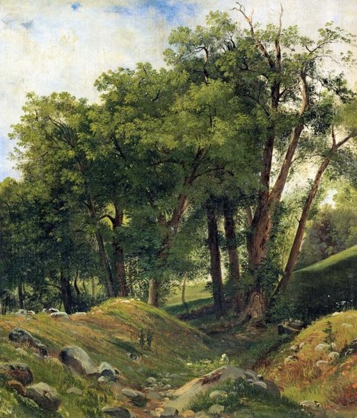 GROUPE DE CH TAIGNIERSGROUP OF CHESTNUT TREES