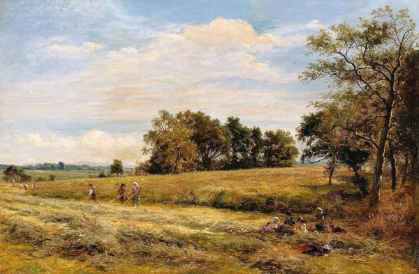 Haymaking Whittingdon Worcester