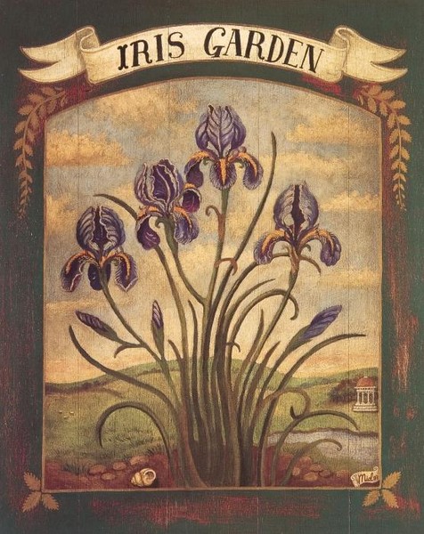 Iris Garden.