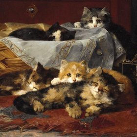 ВАН ДЕН ЭИКЕН Чарльз