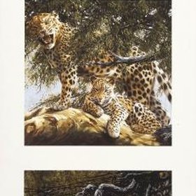 ХОДЖ Спенсер