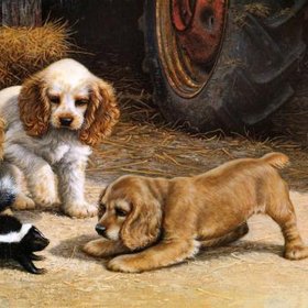 КИЛЛЕН Джим