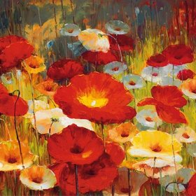 САНТИНИ Лукас