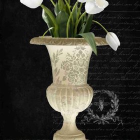 РИЧЧИ Анастасия