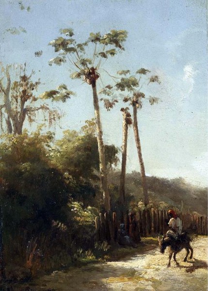 PAYSAGE DES ANTILLES CAVALIER ET NE SUR UN CHEMIN
