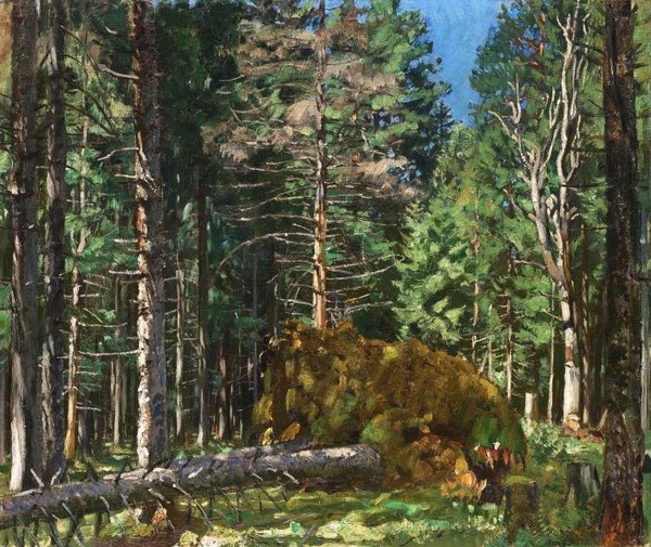 PINE FOREST