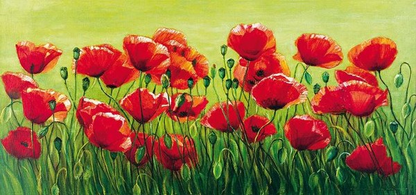 Поле Маковое