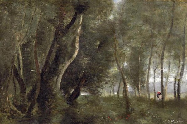 Prairie bois e au bord de l eau