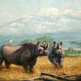 РОБЕРТС Артур