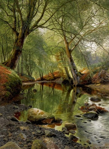 Ручей посреди леса