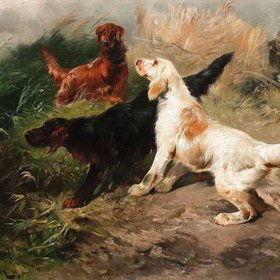 ШОУТЕН Генри