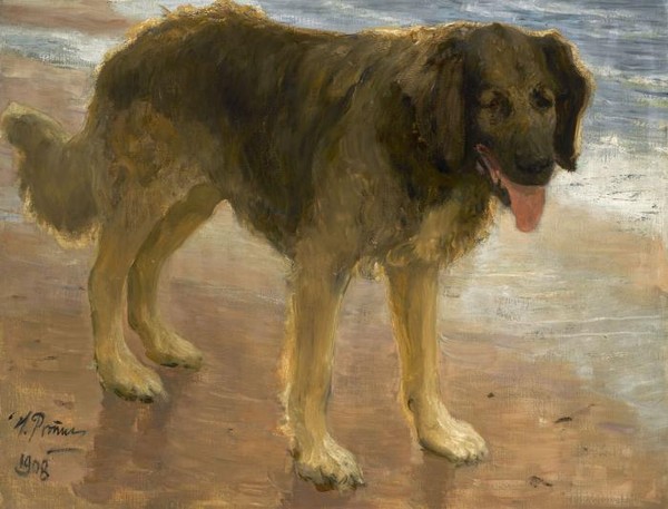 Северный пес