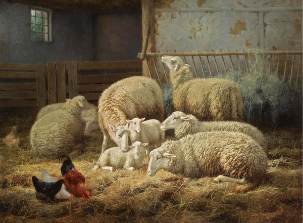 SHEEP AND CHICKENS IN A BARN
