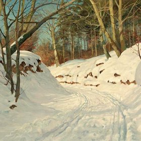 ПРИН Харальд