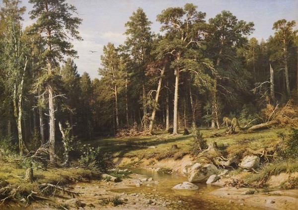 Сосновый бор. Мачтовый лес в Вятской губернии. 1872.