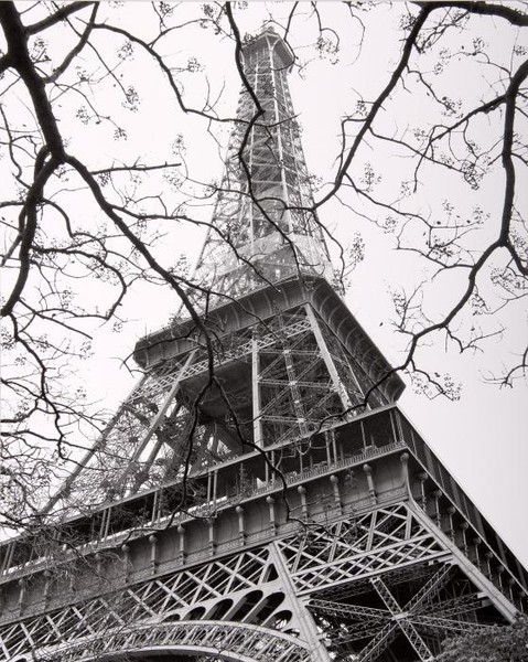 Spring- La Tour Eiffel.