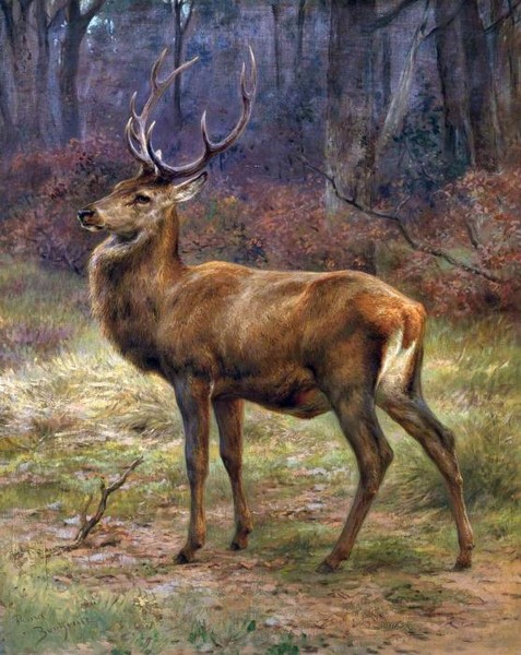 STAG IN AN AUTUMN LANDSCAPE