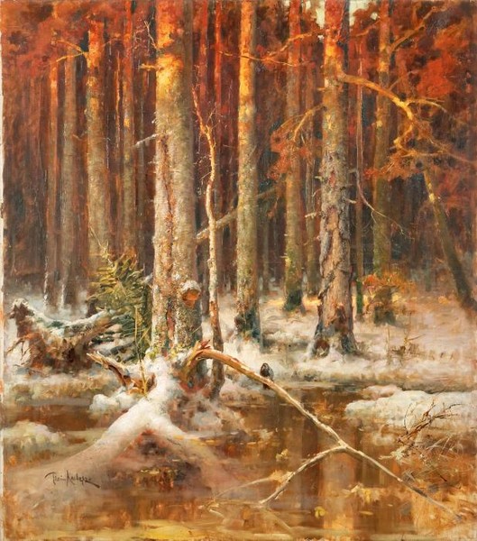 Sunset in the forest