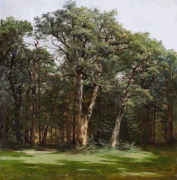 TREES 1836