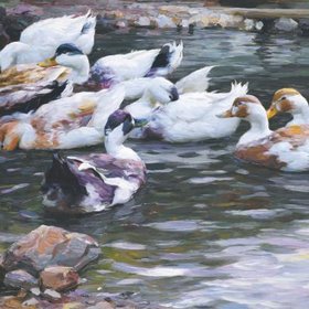 КОЕСТЕР Александер