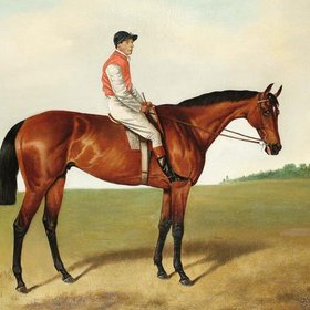 УИЛЕР Альфред