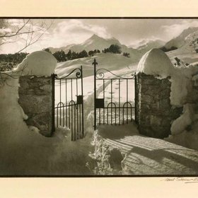 ШТАЙНЕР Альберт