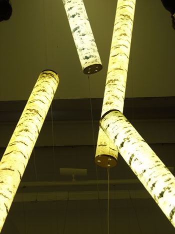 Картинная галерея под названием «Айдан» будет открыта для доступа с 6 по 28 марта 2010 года в Москве.