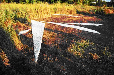 Молодые художники пробираются сквозь заповедные территории 