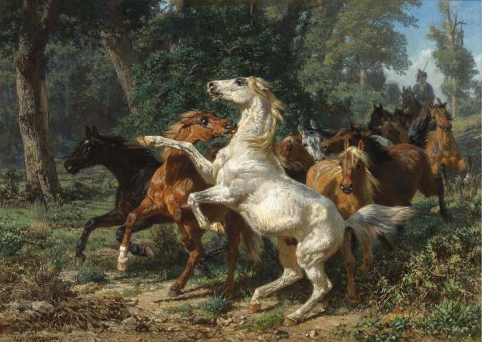 A HERD OF HORSES
