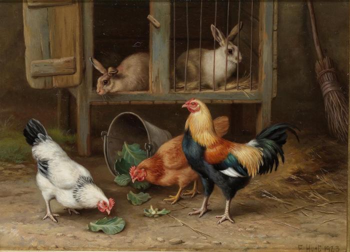 Chickens by a rabbit hutch