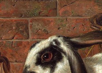 Фрагмент A Family of Rabbits