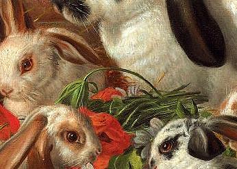 Фрагмент A Family of Rabbits