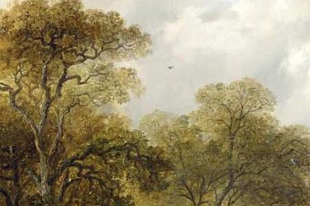 Фрагмент A FARMYARD