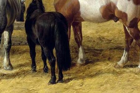 Фрагмент A FARMYARD