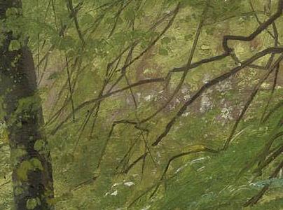 Фрагмент A FOREST STREAM