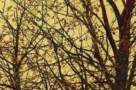 Фрагмент A GOLDEN COUNTRY ROAD